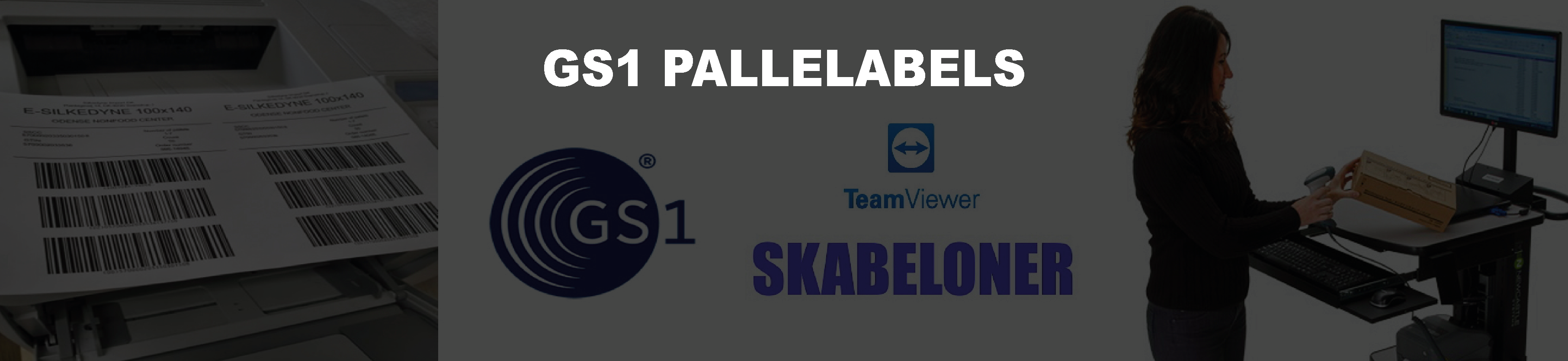 Slider-GS1 Pallelabels.png